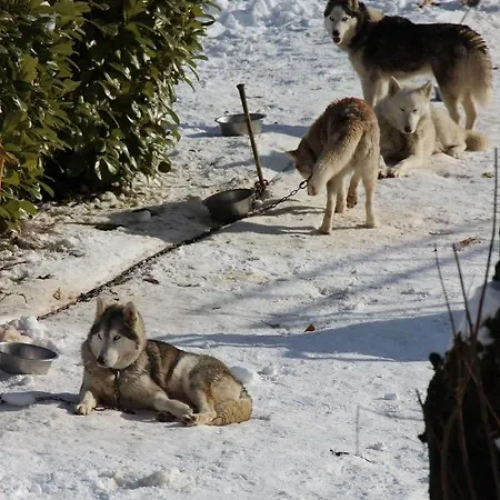Apartment Les Pieds Dans L'eau *