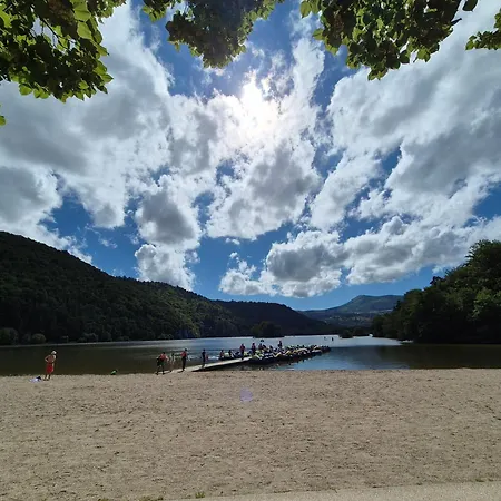 Les Pieds Dans L'eau - Les Elfes