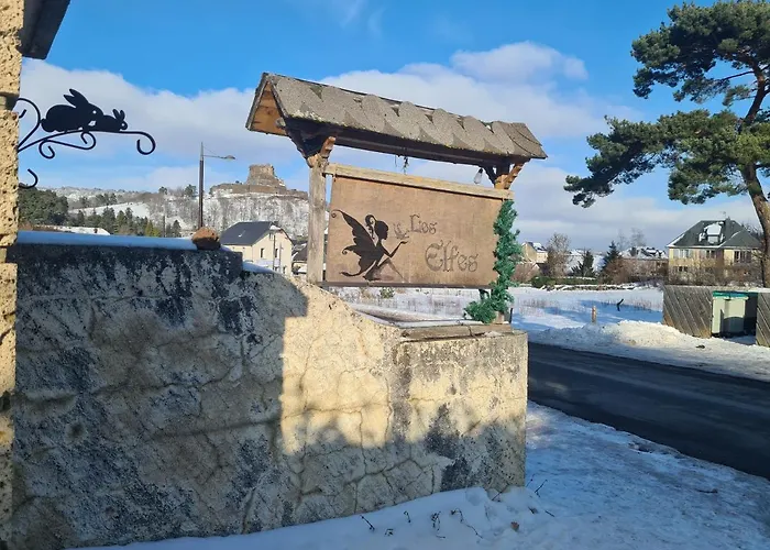 Les Pieds Dans L'eau Apartment Murol