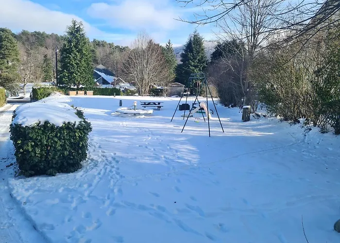 Les Pieds Dans L'eau Apartment Murol