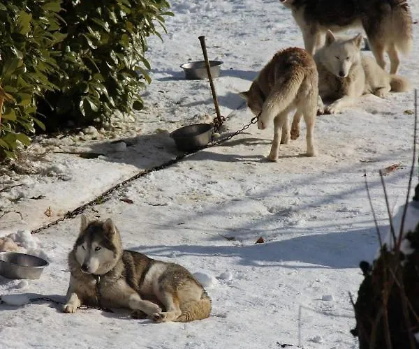 Apartment Les Pieds Dans L'eau *