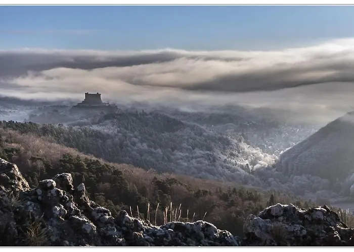 Apartment Les Pieds Dans L'eau *